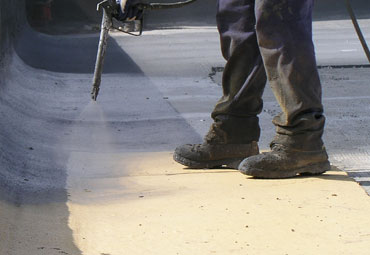 Sustainable Roofing in Southeast Michigan GA